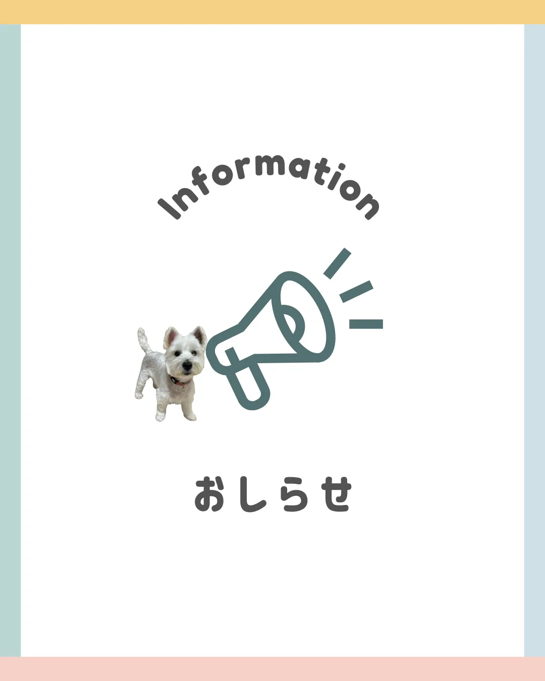 第2回　タウンクリーン